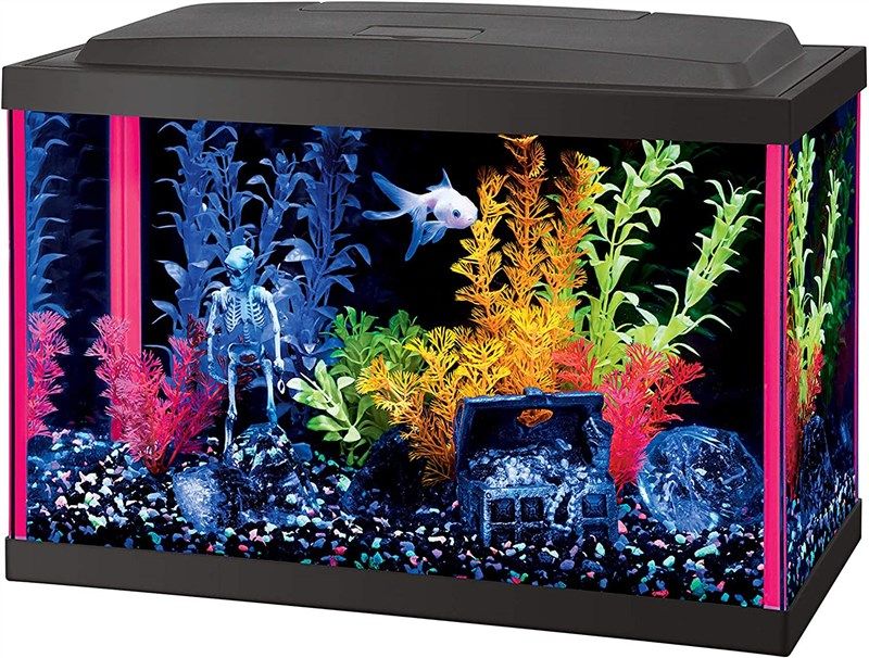 Outgeek Wall Mounted Aquarium Tank: 1-Gallon Betta Fish Bowl