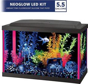 img 3 attached to Aqueon Fish NeoGlow Aquarium Starter Fish & Aquatic Pets
