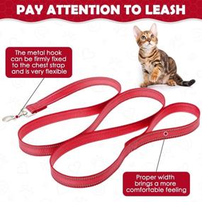 img 1 attached to PUPTECK Cat Harness Leash Reflective Cats and Collars, Harnesses & Leashes