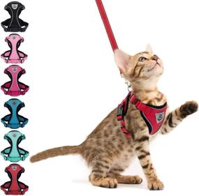 img 4 attached to PUPTECK Cat Harness Leash Reflective Cats and Collars, Harnesses & Leashes