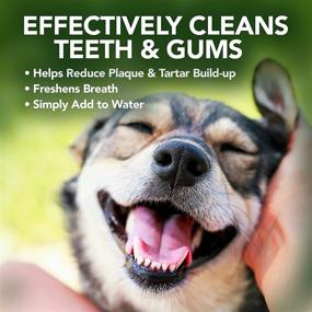 img 2 attached to 🐶 Vet's Best Breath Freshener Water Additive for Dogs & Puppies, 16oz - Veterinarian Formulated