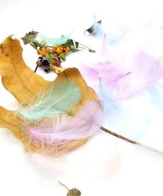 img 1 attached to Delicate Pastel Assorted Goose Feathers - Perfect For Crafts And Decorations (100Pcs)