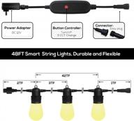 smart outdoor string lights - 48ft waterproof s14 led bulbs with app control, alexa & google compatibility, dimmable and shatterproof for patio, backyard, deck, and party decorations by sunthin logo