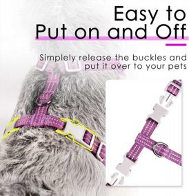 img 1 attached to Breathable Reflective No-Pull Mesh Harness For Small-Medium Dogs And Cats - Purple (Size M)