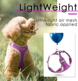 img 3 attached to Breathable Reflective No-Pull Mesh Harness For Small-Medium Dogs And Cats - Purple (Size M)