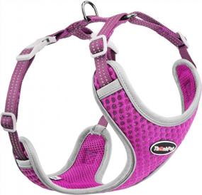 img 4 attached to Breathable Reflective No-Pull Mesh Harness For Small-Medium Dogs And Cats - Purple (Size M)