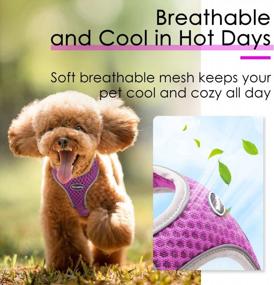 img 2 attached to Breathable Reflective No-Pull Mesh Harness For Small-Medium Dogs And Cats - Purple (Size M)