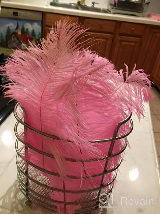 img 1 attached to 10Pcs Pink Ostrich Feathers Bulk 12-14Inch - Perfect For Christmas, Halloween & Wedding Decorations! review by Kyle Lawrence