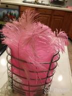 img 1 attached to 10Pcs Pink Ostrich Feathers Bulk 12-14Inch - Perfect For Christmas, Halloween & Wedding Decorations! review by Kyle Lawrence