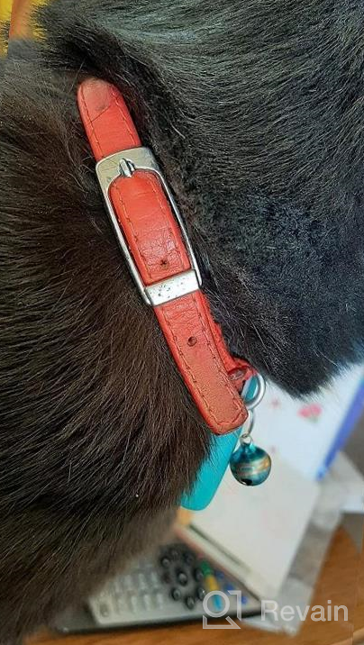 img 1 attached to Leather Cat Collar With Elastic Strap & Bell - 6"-7" Neck Fit, Multiple Colors Available! review by Arun Berry