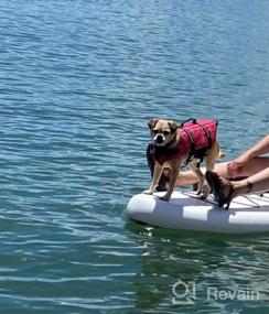 img 5 attached to Большой розовый спасательный жилет для собак Surblue: безопасность домашних животных для плавания, катания на лодках и пляжных прогулок