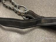 img 1 attached to DEYACE Reflective Martingale Dog Collar With ID-Tag Ring And Soft Padded Adjustable Nylon For Various Breeds review by Eric Webb
