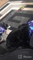 картинка 1 прикреплена к отзыву Celebrate Your Pup'S Big Day With TCBOYING'S 11-Piece Dog Birthday Set – Blue Bandana, Hat, Scarf, Flags, Balloons & More! от Nick Palacio