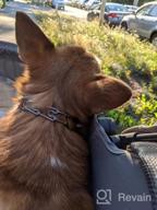 img 1 attached to Hauck Tog Fit Pet Roadster - Perfect For Traveling With Your Furry Friend! review by Justino Pratama