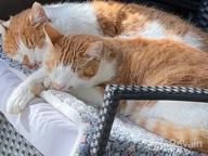 картинка 1 прикреплена к отзыву Light Blue FJWYSANGU Fluffy Pet Cat Blanket - Soft Coral Velvet Cushion Mat For Puppy Warm Cover Pad от Alec Winsor