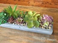 img 1 attached to Modern Gray Clay Planter Tray With 15-Inch Mixed Color Artificial Succulent Arrangement review by Barbara Lopes