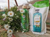 img 1 attached to Twin Pack Herbal Essences Shampoo - Optimize Your Hair Care Routine review by Ada Falkowska ᠌