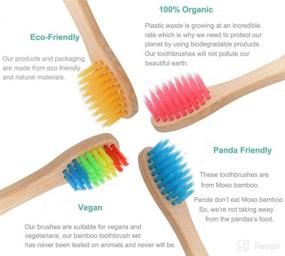 img 2 attached to 🌿 ECOPRO Premium Toothbrushes: The Ultimate Eco-Friendly Oral Care Solution