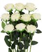 luyue 10 pack artificial silk rose flower wedding bouquet party home decor(off white) logo