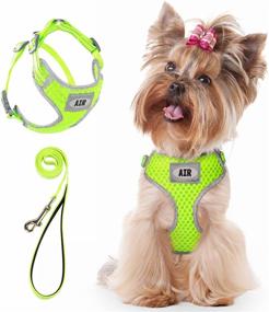 img 4 attached to 🐾 Premium AIR Dog Harness Leash Set - No-Choke Mesh Design for Small Dogs, Yellow - Includes Comfortable Puppy Leash Harness and Reflective 4ft Leash