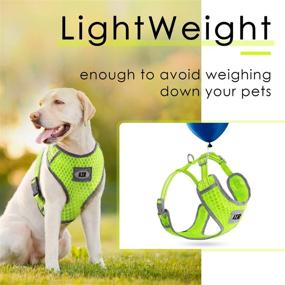 img 3 attached to 🐾 Premium AIR Dog Harness Leash Set - No-Choke Mesh Design for Small Dogs, Yellow - Includes Comfortable Puppy Leash Harness and Reflective 4ft Leash