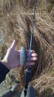 img 1 attached to Trout rod Maximus Streetracer MNJSSR18XUL 1.8 m review by Micha Gozdalik ᠌