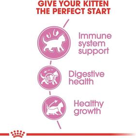 img 2 attached to Premium Royal Canin Feline Health Nutrition Kitten Dry Cat Food: Complete Nutrition for Growing Kittens