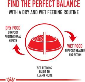 img 2 attached to Royal Canin Adult Instinctive Thin Slices in Gravy Wet Cat Food Multipack - 3 oz, Count of 6, 6 CT: Premium Choice for Feline Nutrition