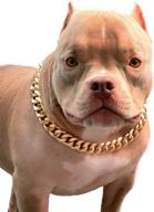 stylish and chic pp color gold chain dog collar - cuban link necklace for fashionable pit bulldogs: light metal jewelry chain, 3/4 width puppy collar, cute accessories logo