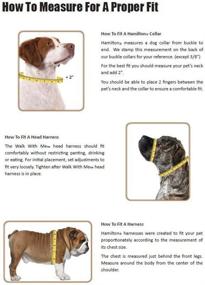 img 1 attached to Hamilton Adjustable Collar Brushed Hardware Dogs at Training & Behavior Aids