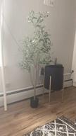 img 1 attached to Artificial Olive Tree - 5.25Ft Tall Faux Potted Silk Tree With Planter, Large Olive Branch And Fruit Decoration, Indoor Home Decor For Modern Living Spaces, 1032 Leaves review by Jason Khadka