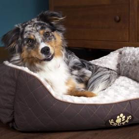 img 3 attached to 🐾 Scruffs Wilton Pet Box Bed: Premium Large Brown Bed for Your Beloved Pet