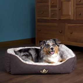 img 2 attached to 🐾 Scruffs Wilton Pet Box Bed: Premium Large Brown Bed for Your Beloved Pet