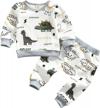 newborn infant baby boy clothes: gender neutral dinosaur animal sweatshirts & pants outfits for fall/winter logo