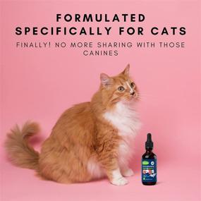 img 3 attached to 🐱 Perkytails Hip & Joint Supplement for Cats - Natural Glucosamine Chondroitin MSM - Enhance Mobility & Relieve Pain from Inflammation & Arthritis - Made in USA - 2oz