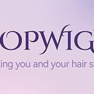 topwigy logo