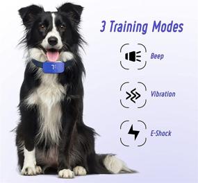 img 3 attached to 🐕 Rechargeable Dog Bark Collar with Adjustable Sensitivity and Intensity - NBJU Anti Barking Collar with Beep, Vibration, and Optional Shock for Small Medium Large Dogs (No Remote)