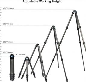 img 1 attached to SIRUI AM-254 Carbon Fiber Camera Tripod, Load Up To 12Kg/26.5Lbs,10-Layer Carbon Fiber