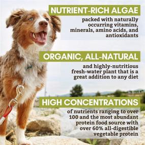 img 3 attached to 🐶 Wholistic Pet Organics Spirulina for Dogs: Organic Superfood Dog Multivitamin - Nutrient & Mineral Rich Supplement - 4 Oz