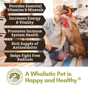 img 1 attached to 🐶 Wholistic Pet Organics Spirulina for Dogs: Organic Superfood Dog Multivitamin - Nutrient & Mineral Rich Supplement - 4 Oz