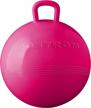 15 inch hedstrom pink hopper ball logo