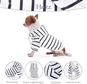 img 1 attached to Hozz Small Lightweight Dog Hoodie: Stylish and Adorable Pet Sweater Clothes for Puppy Dogs