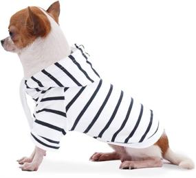 img 4 attached to Hozz Small Lightweight Dog Hoodie: Stylish and Adorable Pet Sweater Clothes for Puppy Dogs