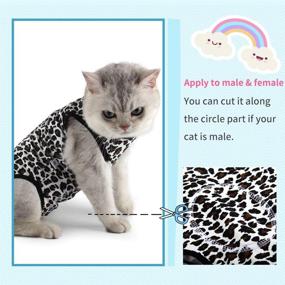 img 1 attached to 🐾 Etdane Cat Surgical Recovery Suit: Leopard Print Long Sleeve Shirt for Small Dogs - Female & Male Doggy Vest