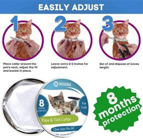 img 1 attached to 🐱 Adjustable Cat Collar with 8-Month Validity Period - Fits All Cats, Ideal Kitten Collar, High-Quality Pet Supplies