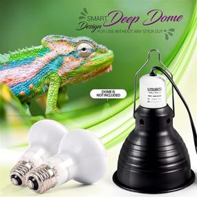 img 3 attached to 🦎 BIOTERIUM Reptile Heat Lamp Bulb: Full Spectrum UVB/UVA Basking Light for Terrarium - 75 Watt Self-Ballasted Vapor Bulb