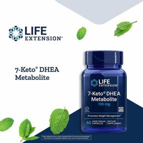 img 1 attached to Life Extension 7-Keto DHEA Metabolite 100Mg: Weight Management & Hormone Balance Supplement For Non-GMO, Gluten Free Diet - 60 Vegetarian Capsules