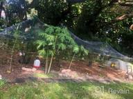 img 1 attached to Protect Your Garden From Birds & Deer With Coolrunner Anti-Bird Netting (33FT X 16.4FT, 100Pcs Cable Ties Included) review by Fritz Marrero