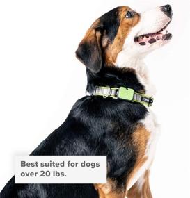 img 1 attached to 🐕 GO/GO Explore/Twist & Go Whistle Pet Collars