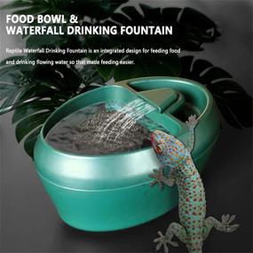 img 3 attached to 🦎 DAORDAER Reptile Chameleon Water Fountain Dripper: Double Filter Automatic System for Snake, Gecko, Lizard, Chameleon, Bearded Dragon